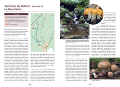 A la découverte des champignons de Bourgogne-Franche-Comté