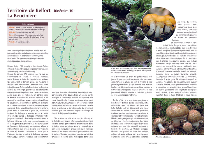 A la découverte des champignons de Bourgogne-Franche-Comté