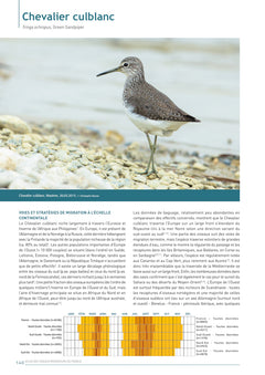 Atlas des oiseaux migrateurs de France