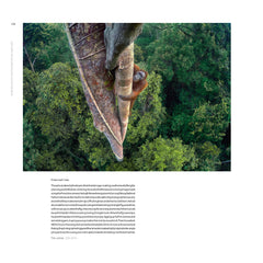 L'art de la photographie de nature