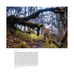 L'art de la photographie de nature