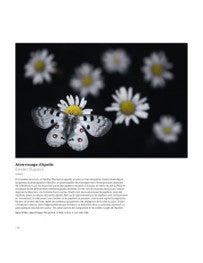 Wildlife Photographer of the Year 2021