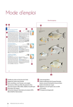 Guide des poissons d'eau douce de Guyane