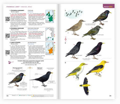 Identifier les animaux