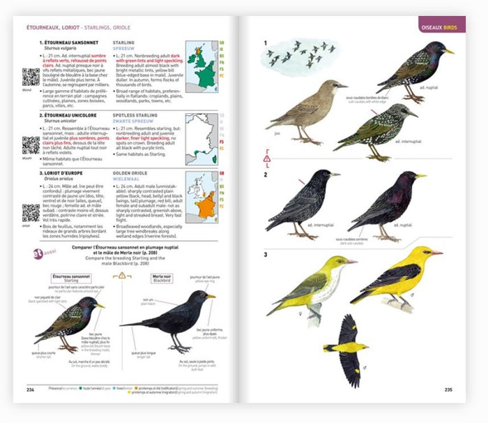 Identifier les animaux