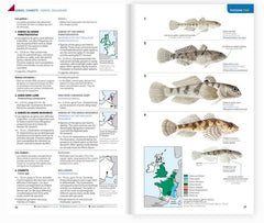 Identifier les animaux