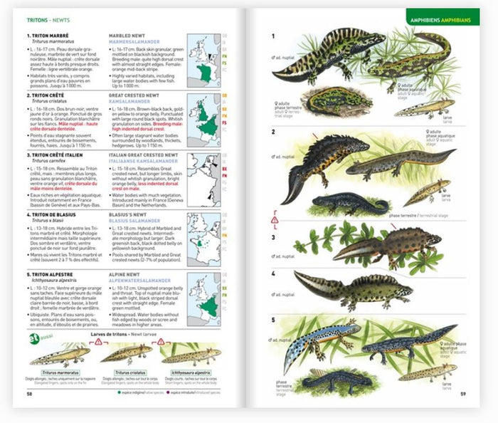 Identifier les animaux