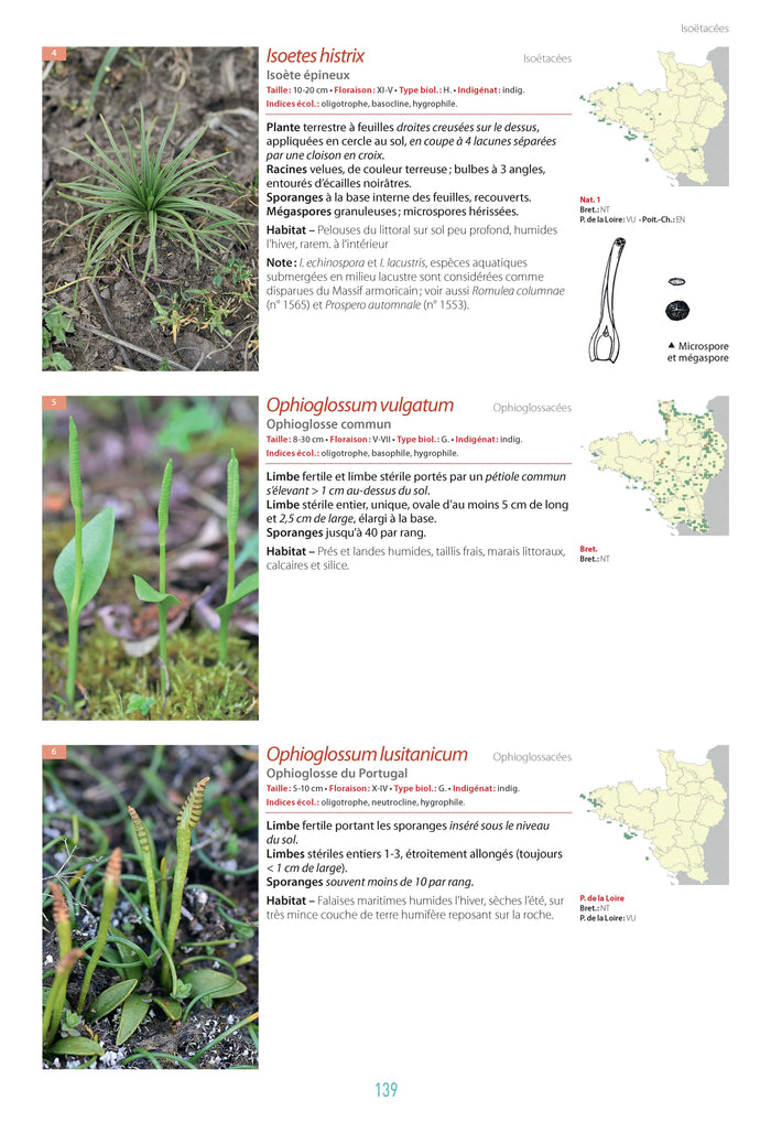 Flore du Massif Armoricain et ses marges