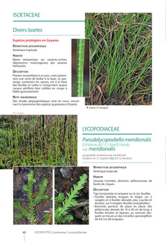 Guide des plantes de la plaine côtière de Guyane