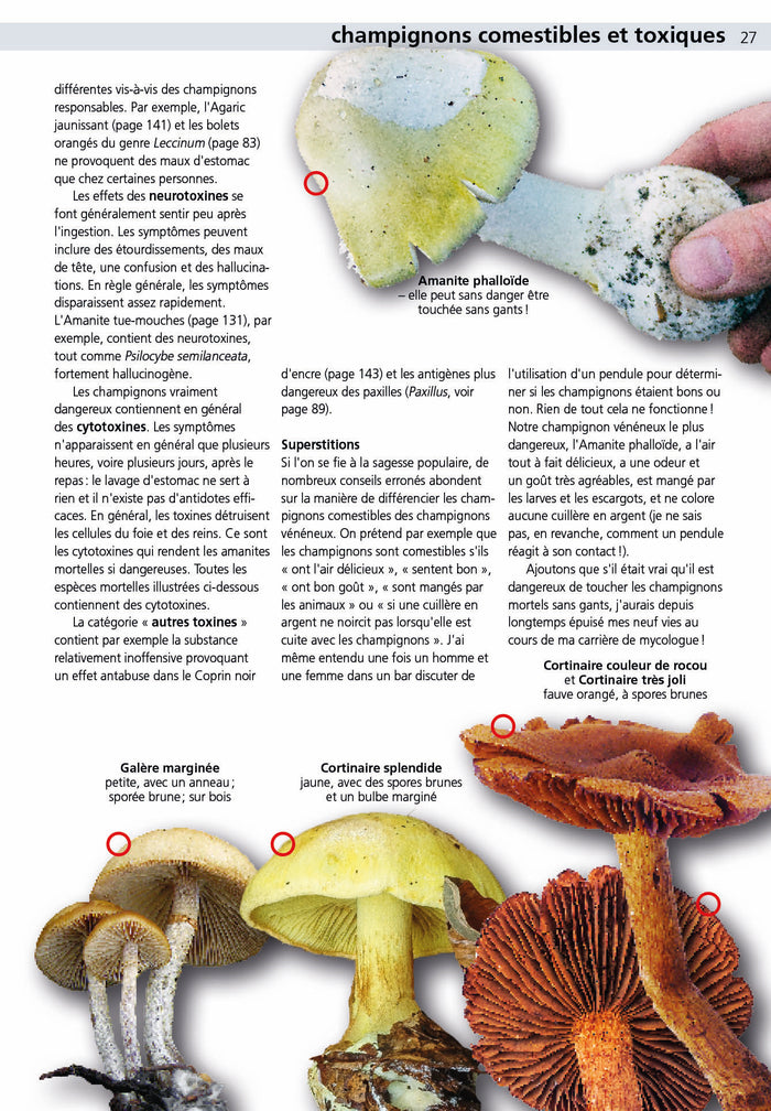 Manuel des champignons comestibles et toxiques