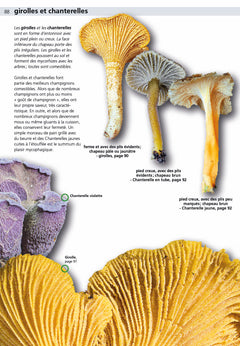 Manuel des champignons comestibles et toxiques