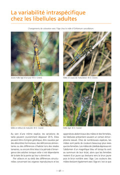 Libellules de France, Belgique, Luxembourg et Suisse (3ème édition)