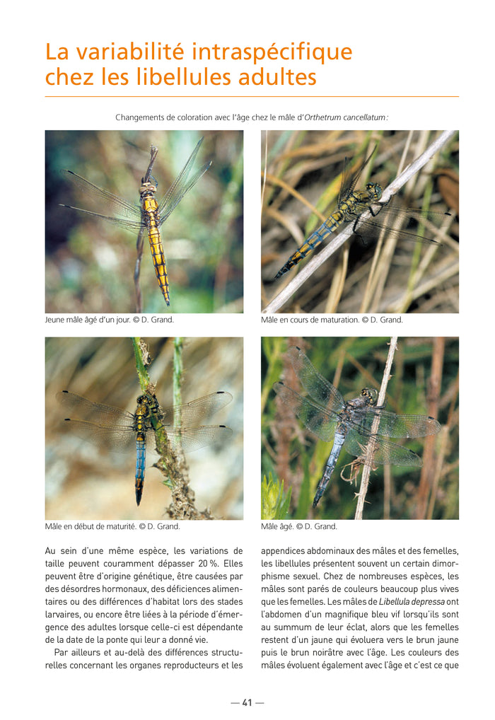 Libellules de France, Belgique, Luxembourg et Suisse (3ème édition)