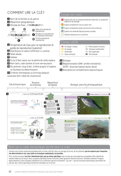 Cahier d'identification des poissons d'eau douce