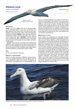 Guide des oiseaux de Nouvelle-Calédonie