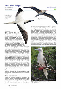 Guide des oiseaux de Nouvelle-Calédonie