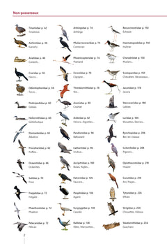 Guide des oiseaux de Guyane