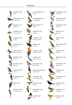 Guide des oiseaux de Guyane