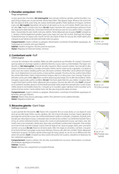Guide des oiseaux de Guyane