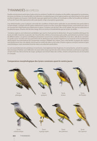 Guide des oiseaux de Guyane