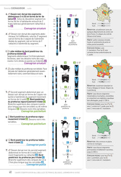 Cahier d'identification des libellules de France, Belgique, Luxembourg et Suisse