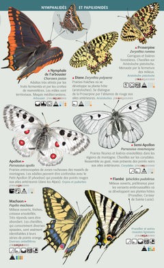 Les miniguides nature - Papillons diurnes de France: 101 espèces à connaître