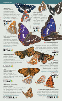Les miniguides nature - Papillons diurnes de France: 101 espèces à connaître