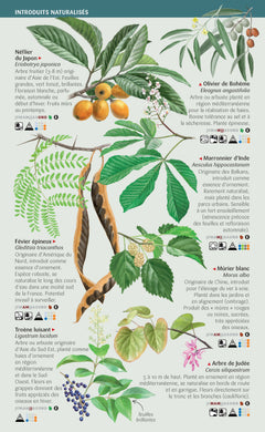 Les miniguides nature - Arbres de France: 101 espèces à connaître