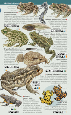 Les miniguides nature - Amphibiens et reptiles de France