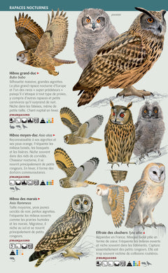 Les miniguides nature - Rapaces de France