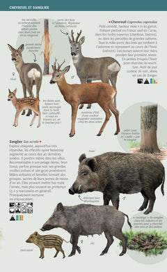 Les miniguides nature - Grands mammifères terrestres de France