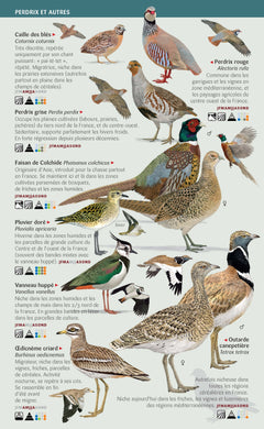 Les miniguides nature - Oiseaux des parcs, des jardins et des campagnes de France
