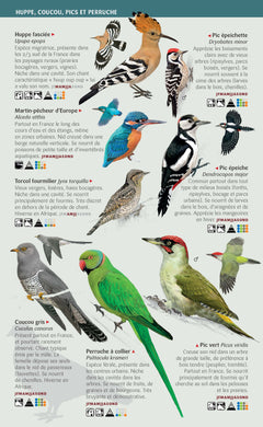 Les miniguides nature - Oiseaux des parcs, des jardins et des campagnes de France