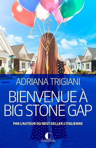 Bienvenue à Big Stone Gap