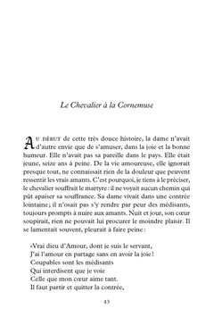 La dame à la licorne et le beau chevalier