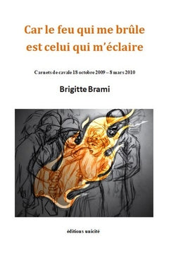CAR LE FEU QUI ME BRULE EST CELUI QUI M'ECLAIRE - CARNETS DE CAVALE 18 OCTOBRE 2009 8 MARS 2010