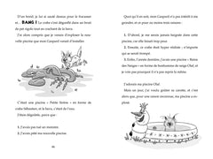 Le fantôme de Barbapuces