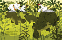 Des ours dans la brousse