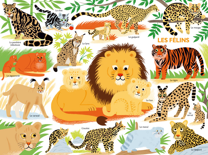 Mon tour du monde géant des mammifères