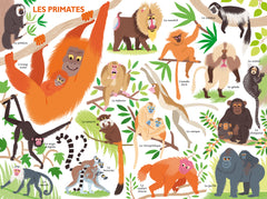 Mon tour du monde géant des mammifères