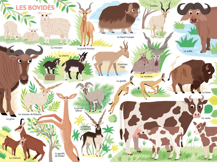 Mon tour du monde géant des mammifères