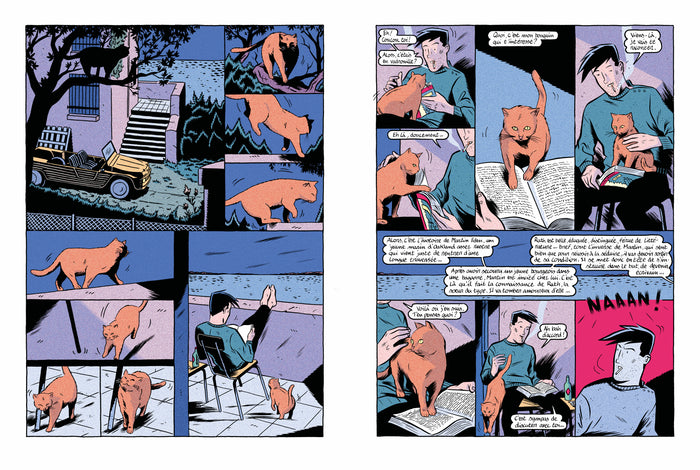 La dernière rose de l'été