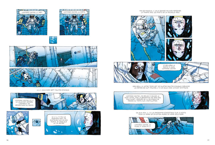 Le compagnon de route