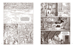 Au coeur des solitudes