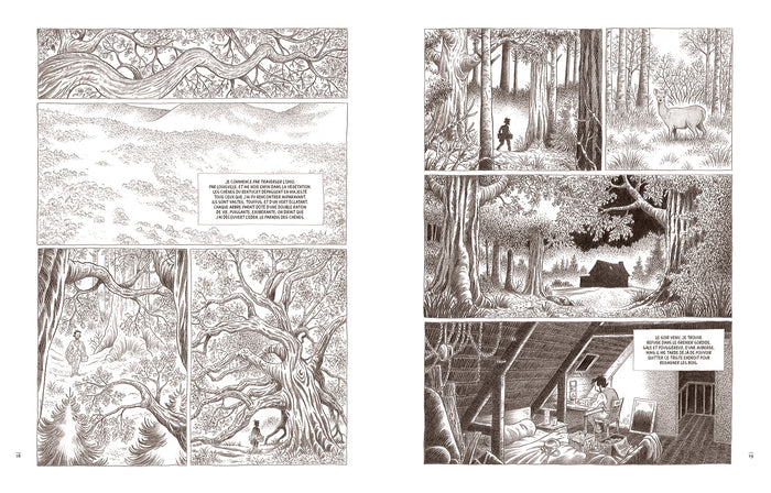 Au coeur des solitudes