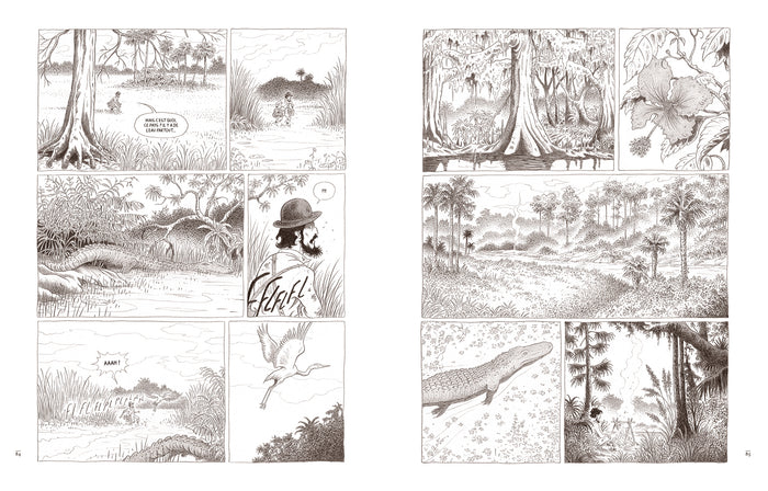 Au coeur des solitudes