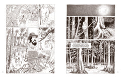 Au coeur des solitudes