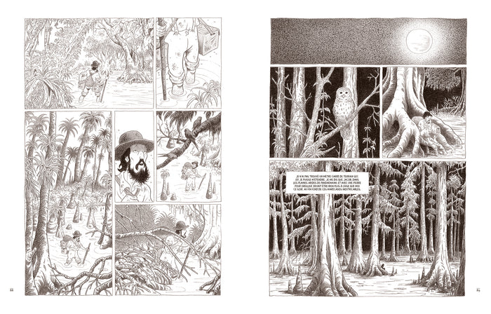 Au coeur des solitudes