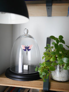 Papier découpé en relief