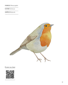 Aquarelle, oiseaux des jardins et forêts